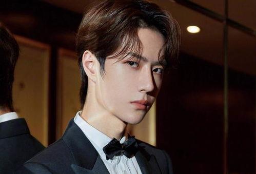 男明星价值榜,实力与人气并存的璀璨之星