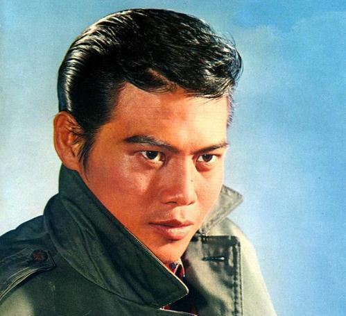 香港明星武打男有明星,传奇男星的辉煌岁月