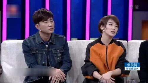 明星小说谢楠,星光璀璨的娱乐圈传奇