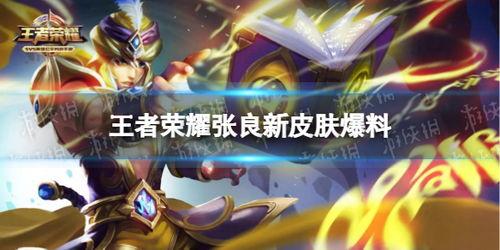 王者新皮肤对抗爆料最新,对抗爆料中的神秘英雄与独特设计