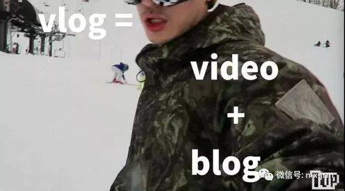 头条号vlog推送,跟随vlog记录美好时光