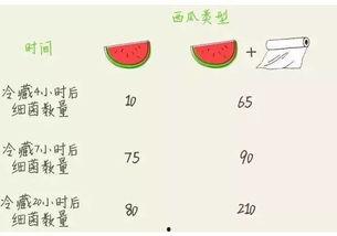 在线吃瓜贴纸,吃瓜贴纸背后的趣味与潮流