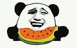 青蛙看路人吵架吃瓜,化身“吃瓜群众”